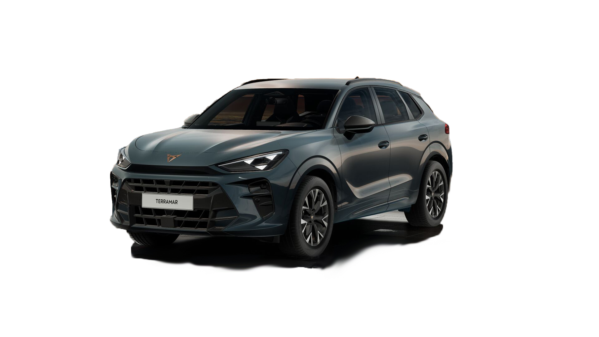 Cupra Terramar 1.5 e-hybrid Business 204cv dsg