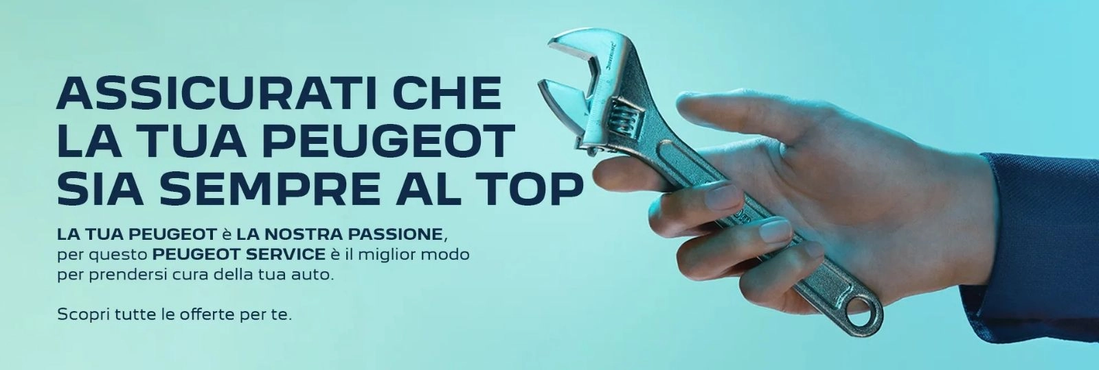 Promo Service Peugeot 20%