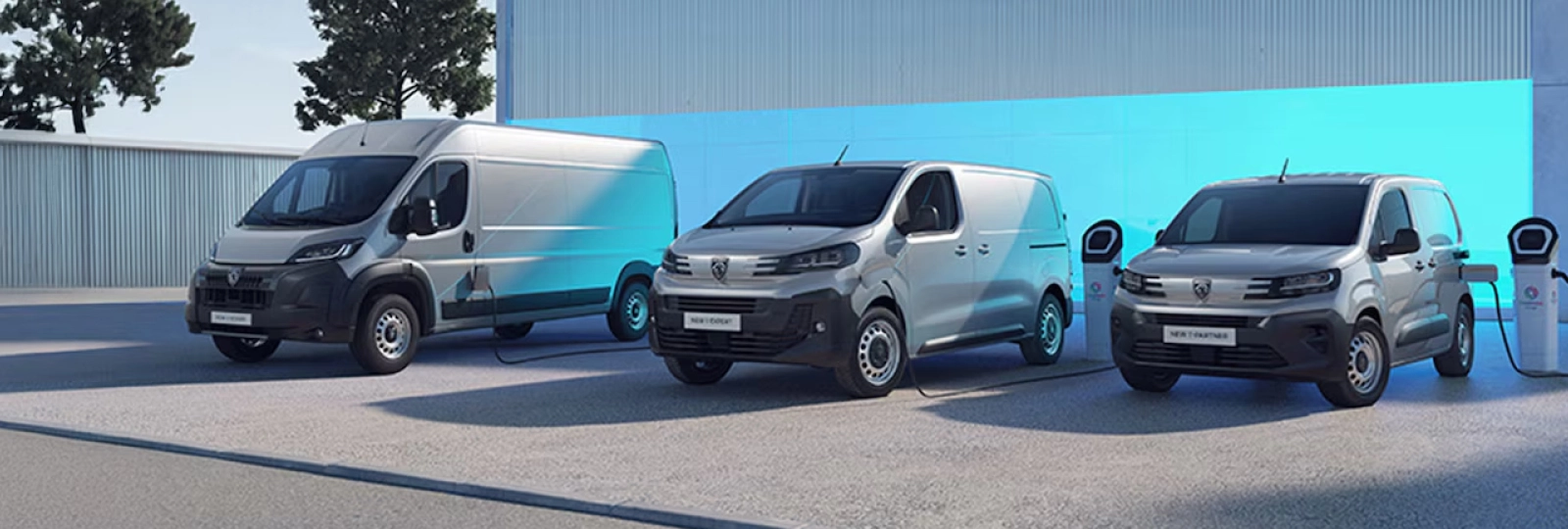 Gamma Peugeot Professional