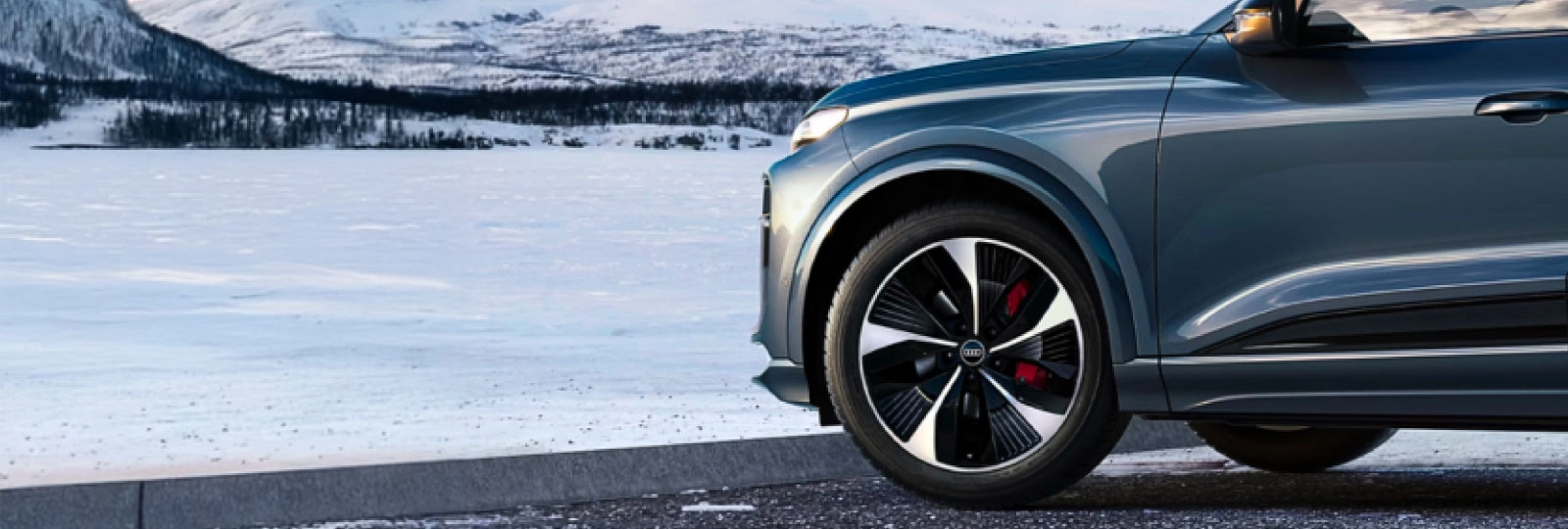 Promozione Ruote Complete Invernali Audi