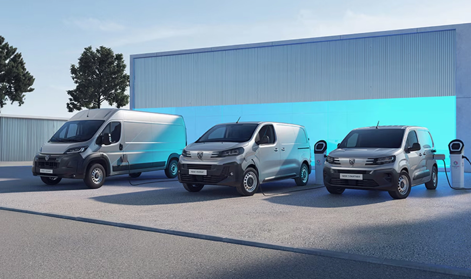 Gamma Peugeot Professional